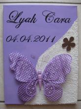 Bild Schmetterling lila weiss